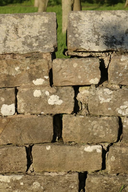 Stone Wall Repair in Solana Beach, CA
